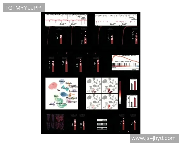 图尔与沙托鲁的较量揭示法乙联赛新动态与球队未来发展方向 图尔与沙托鲁的较量揭示法乙联赛新动态与球队未来发展方向