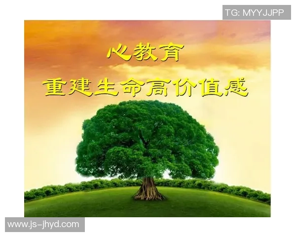 高尚之心照亮人生旅程追求真善美的精神力量与价值观念 高尚之心照亮人生旅程追求真善美的精神力量与价值观念