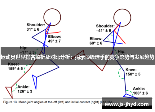 运动员世界排名解析及对比分析：揭示顶级选手的竞争态势与发展趋势