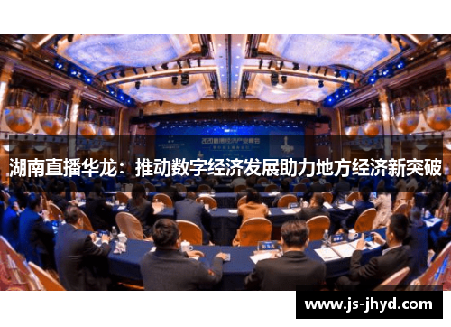 湖南直播华龙：推动数字经济发展助力地方经济新突破