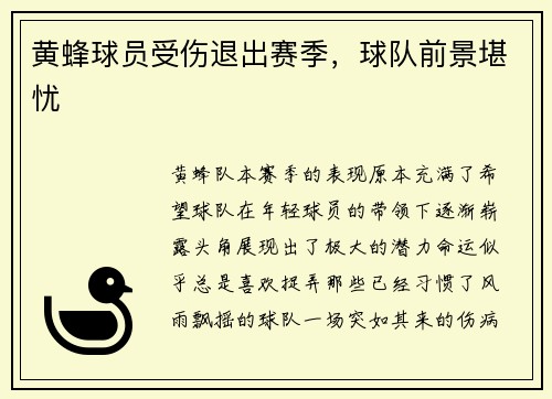 黄蜂球员受伤退出赛季，球队前景堪忧